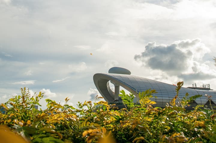 Modern, curved white building architecture, likely the Kai Tak Cruise Terminal, viewed from behind green and yellow foliage against a bright, cloudy sky.