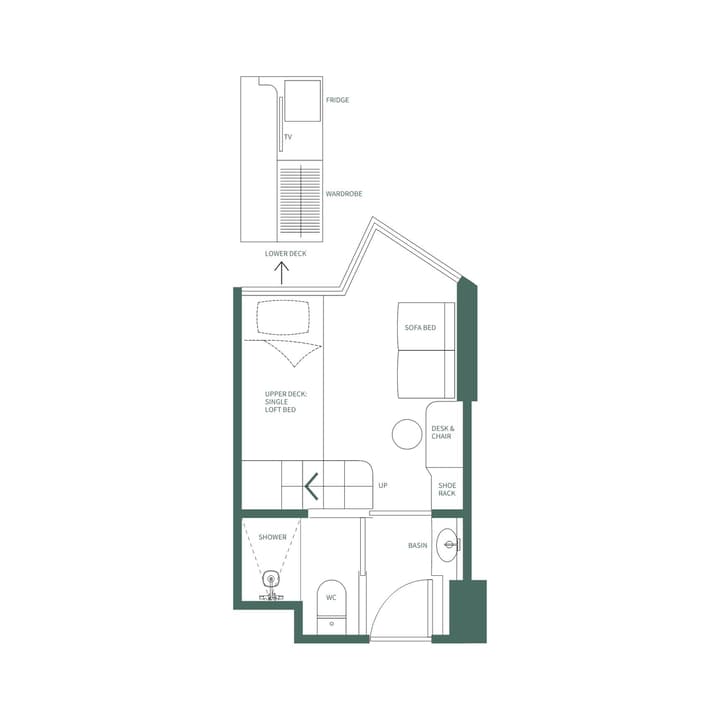 Floor plan for a Studio Single unit, showing a loft bed, sofa bed, desk, bathroom with separate shower and WC, and a galley-style storage area with a fridge, TV, and wardrobe.