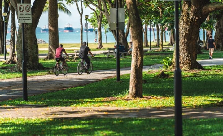Two cyclists riding down a paved path in a lush green park with large trees, overlooking the sea with container ships in the distance.