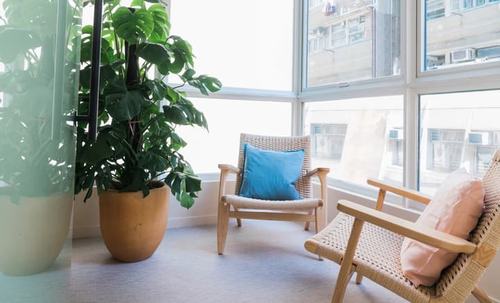 Close-up of a bright corner seating area by large windows, featuring two natural wood and woven-rope armchairs with blue and pink accent pillows, next to a large potted monstera plant.
