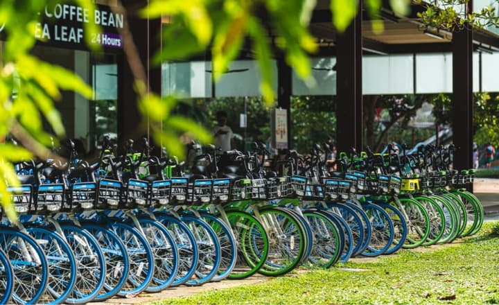 A long row of rental bicycles in blue and green parked in front of a storefront at an East Coast park, framed by green leaves.