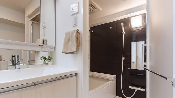 Modern bathroom featuring a bright vanity sink with a mirrored cabinet and a glimpse into the separate bathtub area with dark tiled walls and shower.