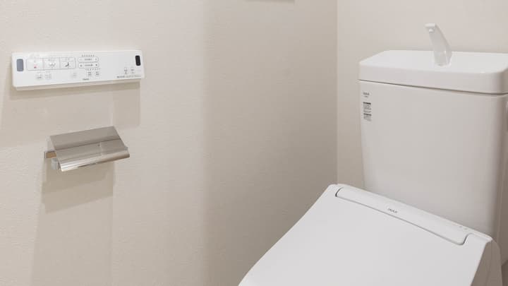 Close-up of a modern Japanese toilet with a Washlet bidet seat, a separate wall-mounted control panel, and a sleek chrome toilet paper holder.