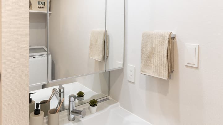 Bathroom vanity area showing a sink, mirrored cabinet, a towel rack, and a reflection in the mirror of the adjacent laundry washing machine.