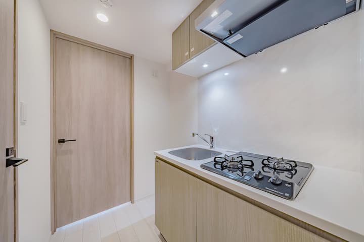 Close-up of the compact kitchen counter with a stainless steel sink and a two-burner gas cooktop, light wood lower and upper cabinets, and a tall, light wood-paneled door on the left.