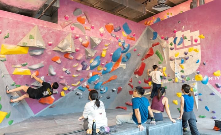 Indoor bouldering gym with several people climbing on a brightly colored, pink climbing wall with various holds.
