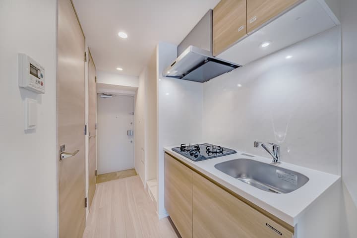 View of the compact kitchen with light wood cabinets, a two-burner cooktop, and a stainless steel sink, looking down the hallway towards the apartment entrance door.