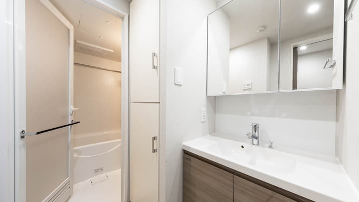 Apartment bathroom vanity area featuring a large mirrored cabinet, a built-in sink, under-sink storage, tall linen storage cabinets, and a door leading to a separate bathtub and shower room.