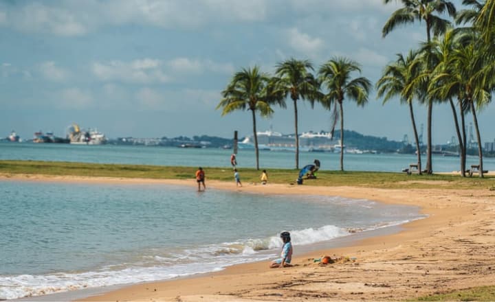 A tropical sandy beach with crashing waves, a row of palm trees, and people relaxing, with large cargo ships visible on the horizon.