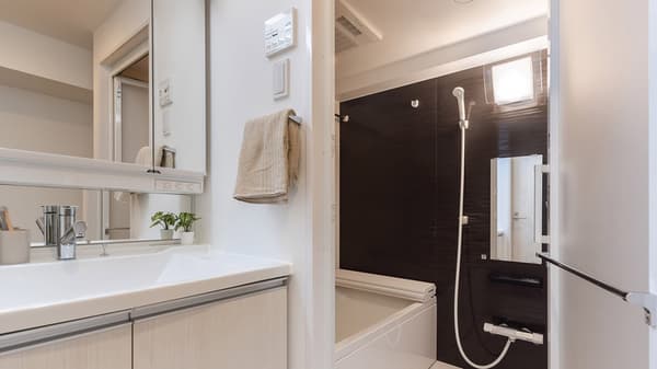 Modern bathroom featuring a bright vanity sink with a mirrored cabinet and a glimpse into the separate bathtub area with dark tiled walls and shower.