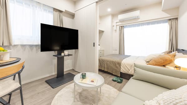 View of a bright, open-concept studio apartment featuring a small living area with a white coffee table, light green sofa, and a modern black TV stand, separated from the sleeping area by a sliding door.