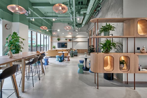 Wide view of a spacious, light-filled communal living room with a mint green ceiling, various seating areas, and modern wooden shelving with plants.