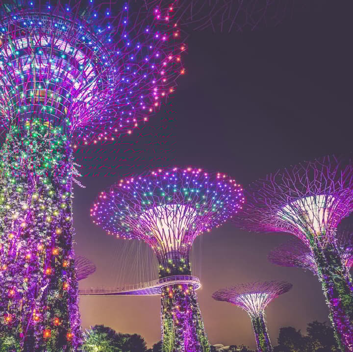 The illuminated Supertree Grove at Gardens by the Bay, Singapore, glowing brightly with vibrant pink and purple lights against the dark night sky.